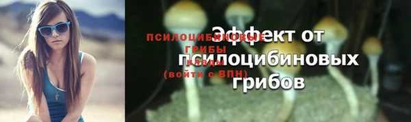 МДПВ Белоозёрский