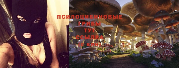 ALPHA-PVP Белокуриха
