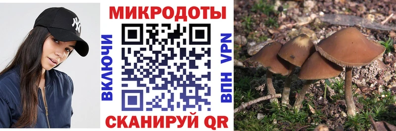 Галлюциногенные грибы Cubensis Гай