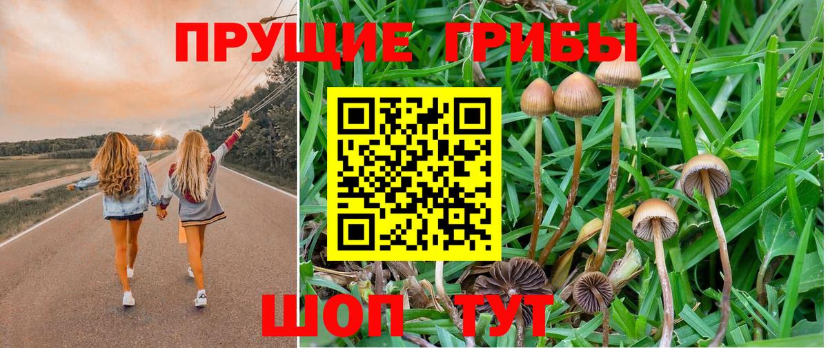 Псилоцибиновые грибы ЛСД  Вход с VPN  Гай  Псилоцибиновые грибы Magic Shrooms 