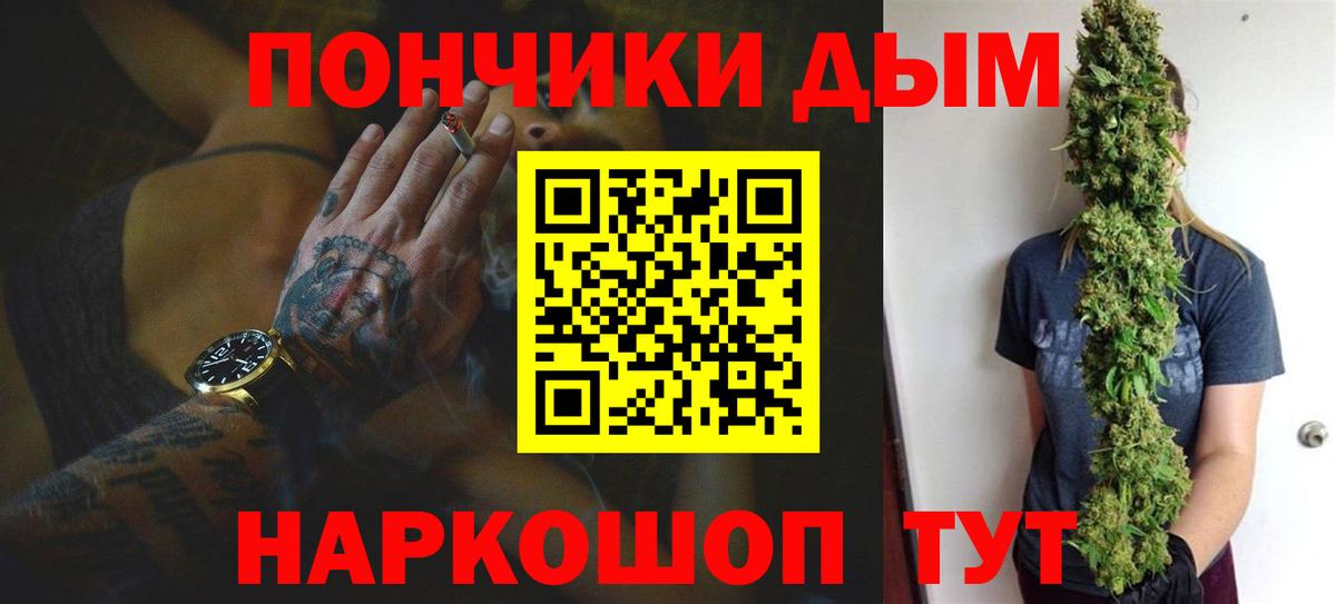 Бошки марихуана сатива Гай
